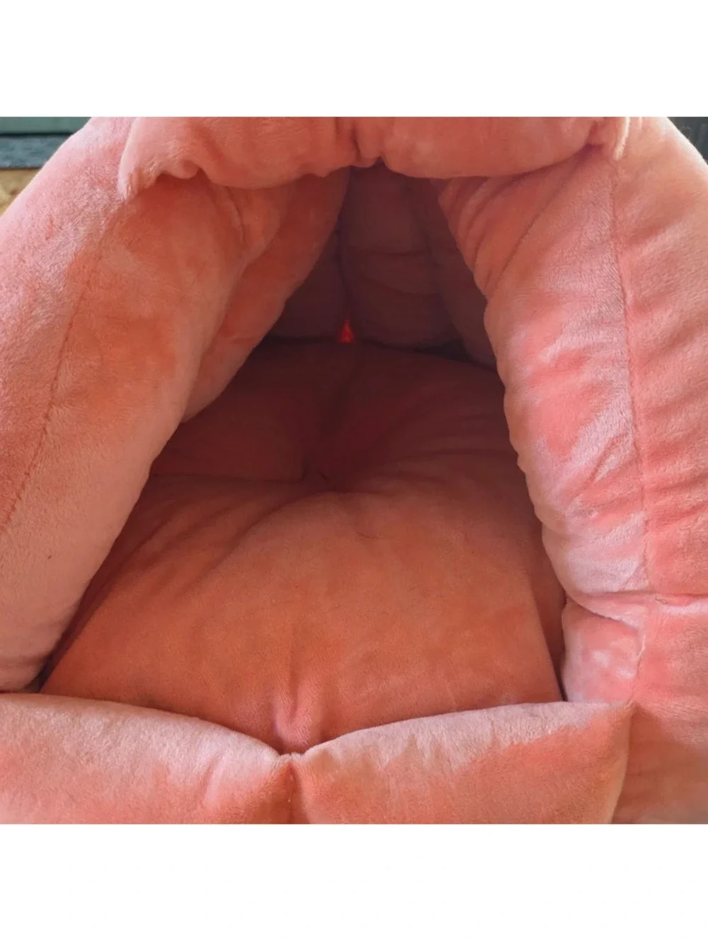Fall Pumpkin Cat Bed
